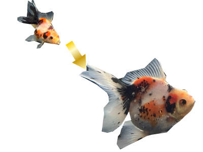 ドラゴンスケール